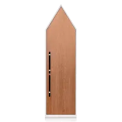 Шкаф с фасадом дуб